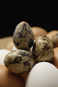 棕色蛋 白蛋 鹌鹑蛋
