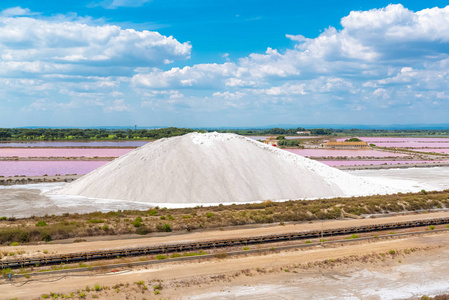 aiguesmortes, salins du midi, 全景与盐沼和粉红色的湖泊