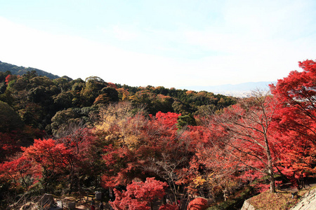 京都日本2017年11月25日 清水寺