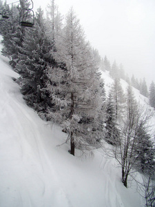 在寒冷的冬天, 滑雪缆车下面的山坡上覆盖着雪覆盖的树木