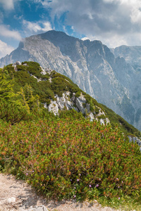 晴天在大山上欣赏美景