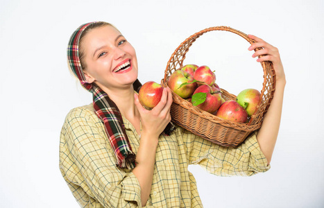 女人真诚的村民拿着篮子与天然果子。女农民园丁为她的收获感到骄傲。妇女园丁乡村风格举行篮子与苹果白色背景。环保产品理念