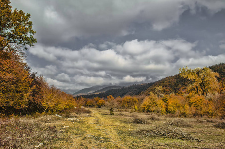 景观的公路穿境而过与鲜艳的秋季灌木林间空地和遥远山林边界与灰色多云的天空