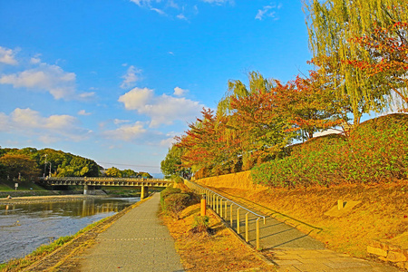 日本京都鸭川在秋天的季节