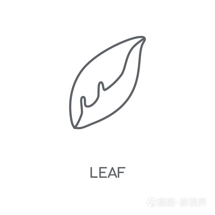 叶概念笔画符号设计.