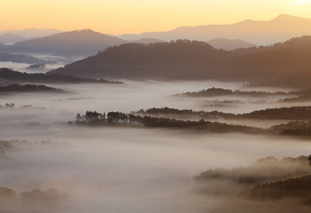 梦幻般的迷雾森林与松树和山在阳光下