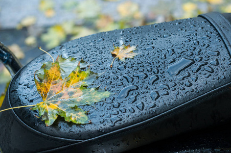 特写镜头雨滴枫叶皮革摩托车鞍座