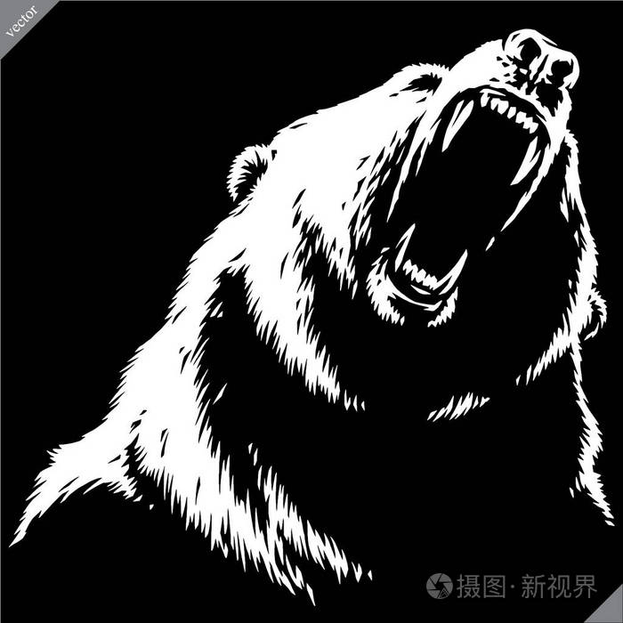 雕刻查出的熊例证向量素描线性艺术