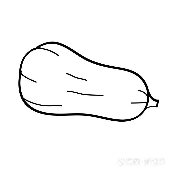 手绘西葫芦