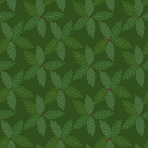 冬青植物背景的绿叶。无缝模式