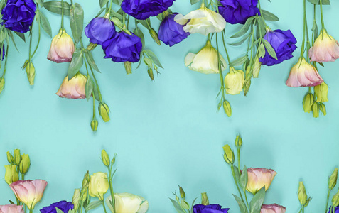鲜花盛开的花在蓝色纸背景上的乌斯马