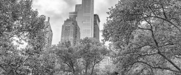 秋天纽约市中央公园的摩天大楼和树木