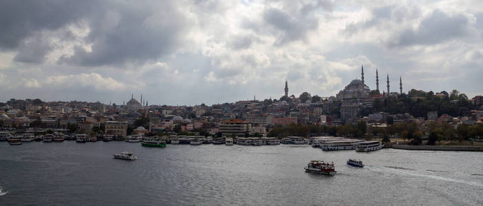 伊斯坦布尔金角, Eminonu, 加拉塔桥塔。全景