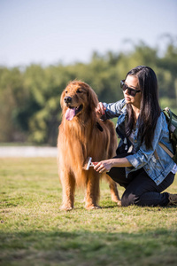 女孩和黄金猎犬