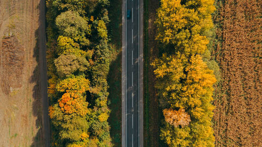 在乌克兰的新道路鸟瞰图。秋天。道路标记