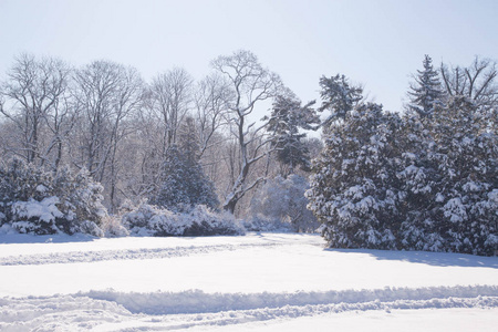 华沙瓦津基公园覆盖着雪的草地