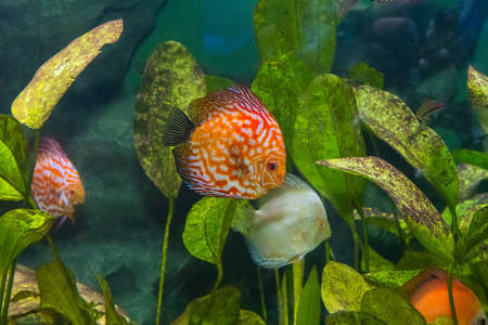 海底世界水族馆的居民