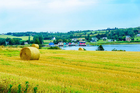 加拿大爱德华王子岛法国河附近的乡村和干草堆景观