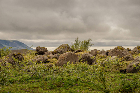 冰岛北部的自然和风景。2016年7月