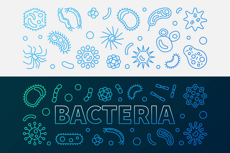 细菌微生物学明亮的线横幅向量例证