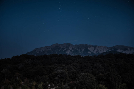 美丽的夜晚景观与繁星夜山和森林。夜森林与绿色草甸和山在明亮的繁星夜或银河看法