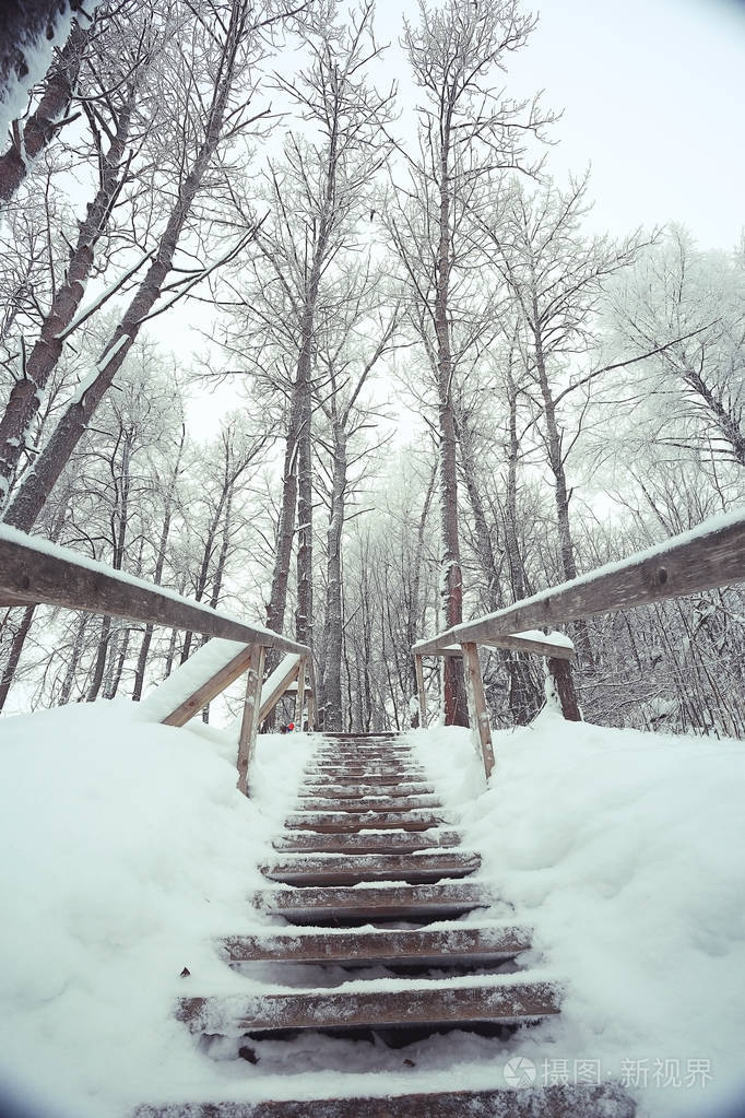 乡村景观的下雪的冬天