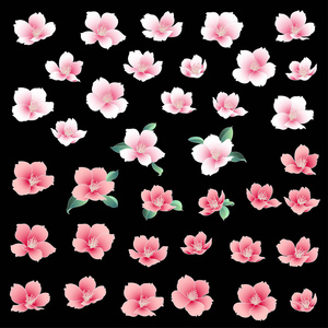 日式樱花插画, 日式樱花的设计