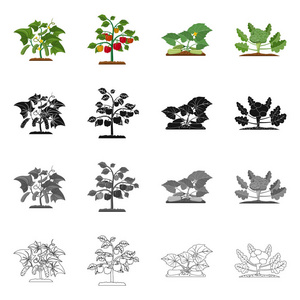 温室和植物标志的孤立对象。一套温室和花园股票符号的网站