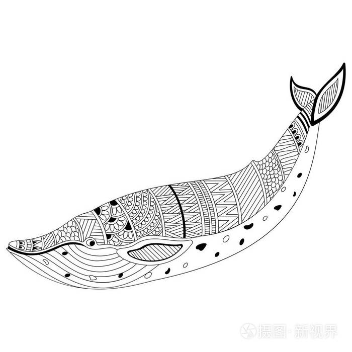 创意手绘涂鸦插图: 鱼