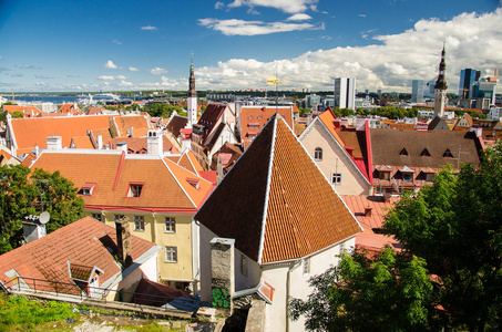 来自爱沙尼亚 kohtuotsa vaateplatvorm toompea 山的塔林老城区的全景, 有传统的红色瓷砖屋顶中世