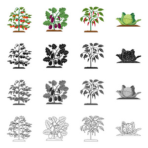 温室和植物标志的孤立对象。收集温室和花园矢量图标的股票