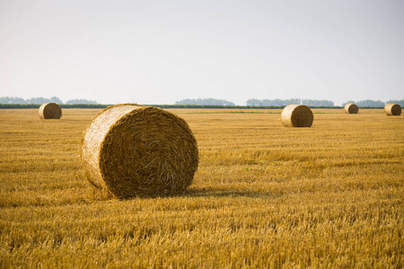 面包卷的草垛上的字段。夏季农场景色与背景下的美丽的日落的干草堆。农业 Concept.Harvest 概念