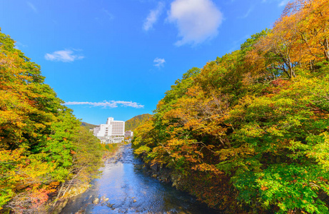 日本北海道著名的双流定山溪秋季五颜六色的森林