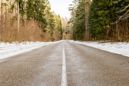 乡村道路与树图片