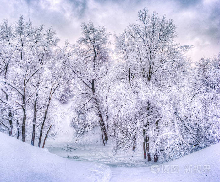 冬季公园冬天的风景与白雪皑皑的树木-冬季下雪场景在