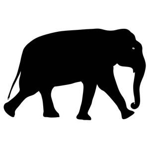 白色背景下的大非洲大象剪影