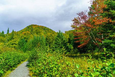 加拿大魁北克蒙特朗布朗国家公园的一条小路和秋天的树叶颜色的看法