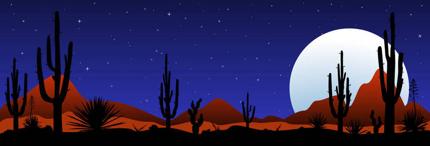 夜晚的一块石头沙漠。沙漠风光, 夜景。沙漠与仙人掌的背景夜空星空