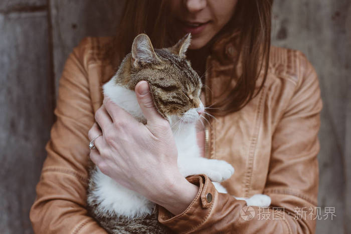 猫躺在女人的手照片-正版商用图片0tsr6b-摄图新视界