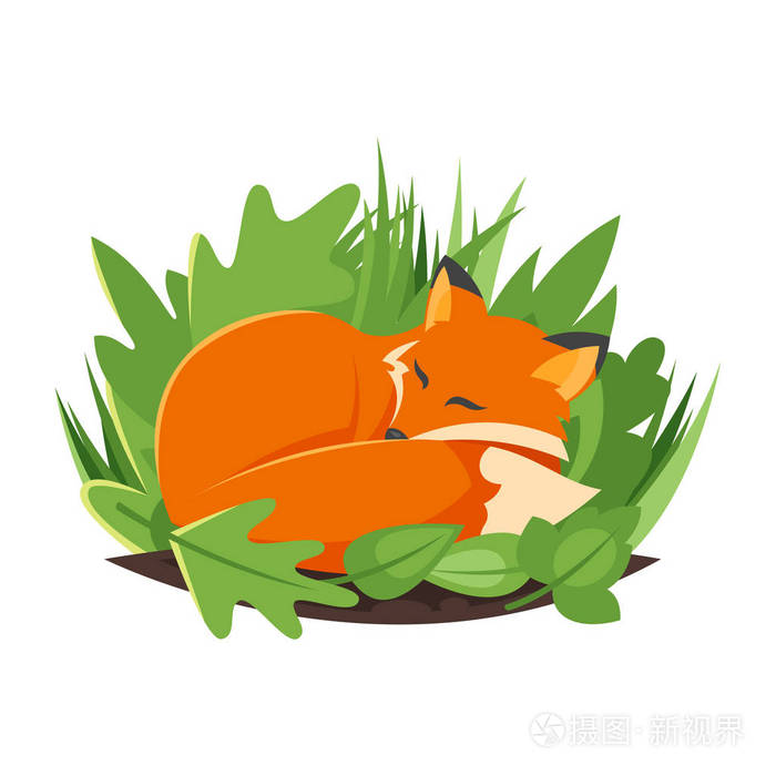 矢量卡通风格插画的睡觉狐狸