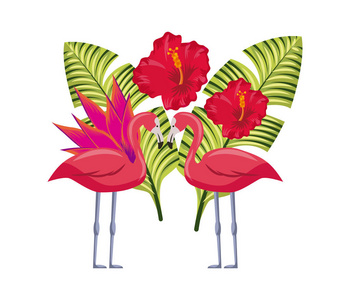 热带花卉设计