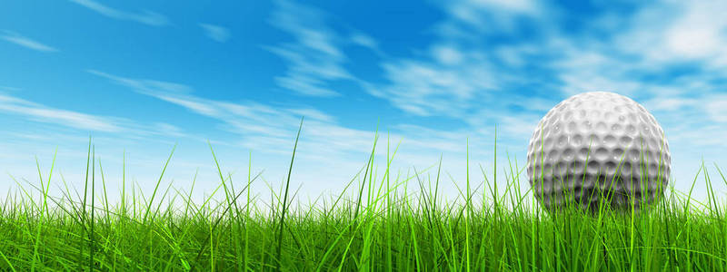 l 体育草在天空背景横幅与高尔夫球球在地平线上