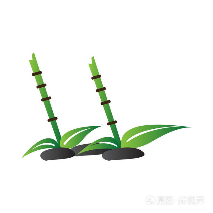 孤立的竹子符号.抽象水疗标志