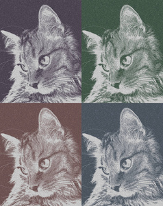 猫把目光移开。可爱的猫放松寻找的一面。猫脸的肖像在轮廓。四种变体中的一组图片。完美的艺术海报, 壁纸和其他元素的设计