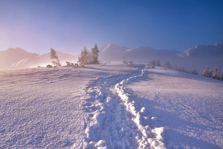 冬山风景用 fotpath 在下雪的早晨