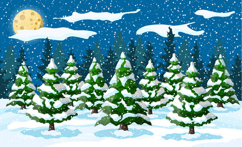 白雪上的白色松树的冬季景观
