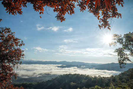 泰国北部帕府省梅赎罪国家公园山层晨雾景观