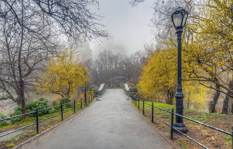 纽约中央公园的加普斯托桥雾蒙蒙的雾蒙蒙的雾蒙蒙的日子