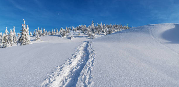 美丽的冬季景观在山上。山麓堆积如山的山被雪和绿冷杉覆盖