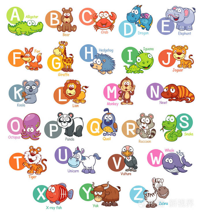 动物的英文字母